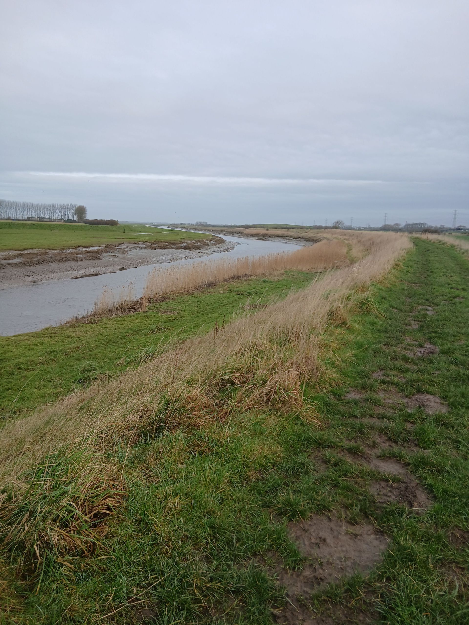 River Douglas on route of walk